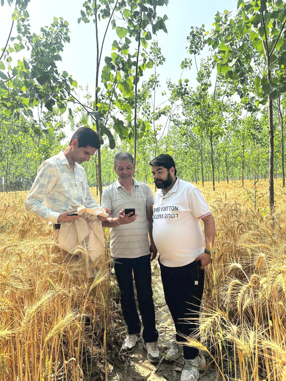 जिले में फसलों का डिजिटल सर्वे शुरू, खसरा व फसल की फोटो ऑनलाइन दर्ज की जाएगी- उपायुक्त